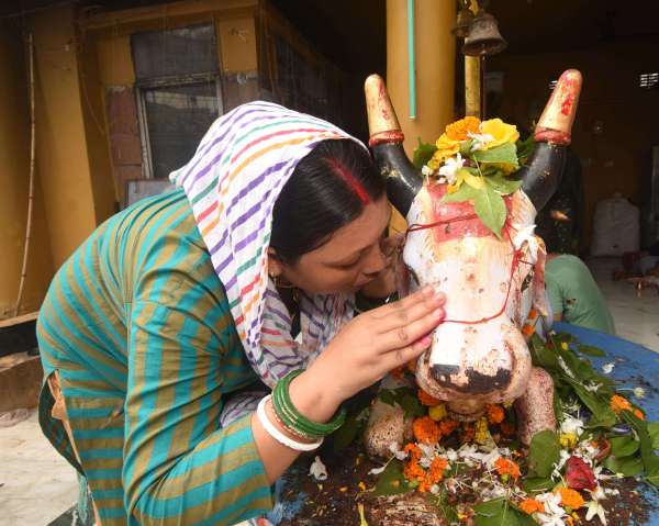 कुछ ने नंदी महाराज से अपनी कामनाओं को प्रकट भी किया।