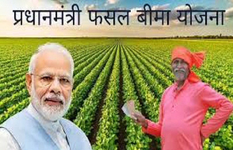 Last date for getting crop insurance is August 16