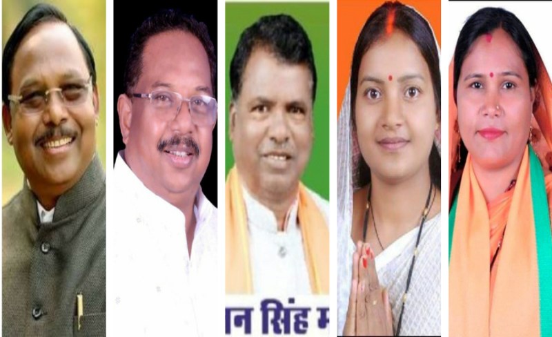 BJP announced candidates name