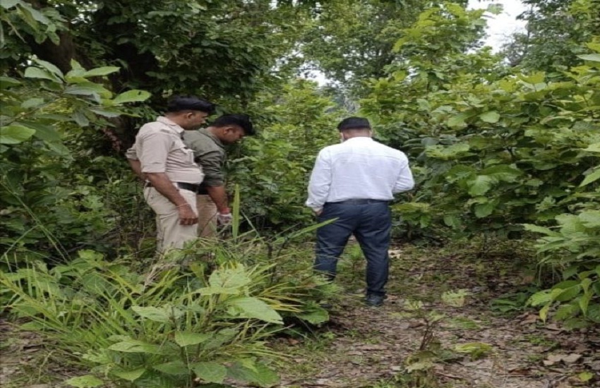 Male skeleton found in Korba's Rangoli forest, people came in panic