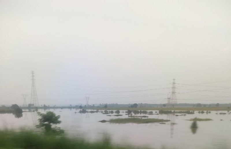 Weather Update: इन जिलों में 3 दिन भारी बारिश का IMD अलर्ट, बाढ़ ने बढ़ाई टेंशन; प्रशासन सतर्क