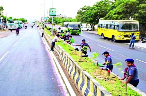 Made a record by planting 