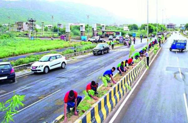 Made a record by planting 