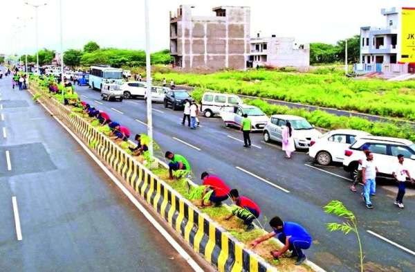 Made a record by planting 