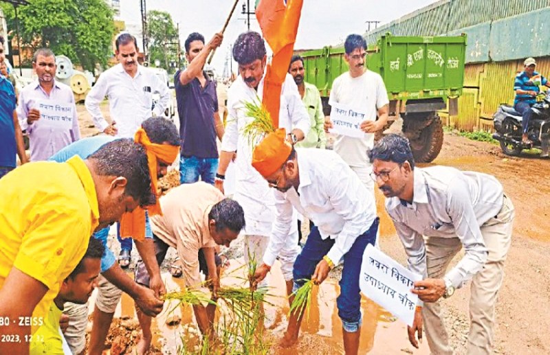 BJP people planted paddy plants in big pits made on the roads