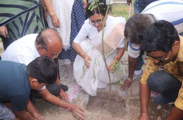 Made a record by planting 