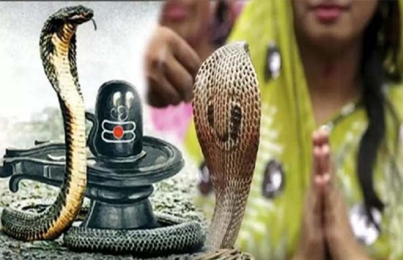 Nag Panchami : राहु-केतु और कालसर्प दोष से मिल जाएगी हमेशा के मुक्ति, बस मंदिर में जाकर भगवान शिव अर्पित करनी होगी ये ख़ास वस्तु