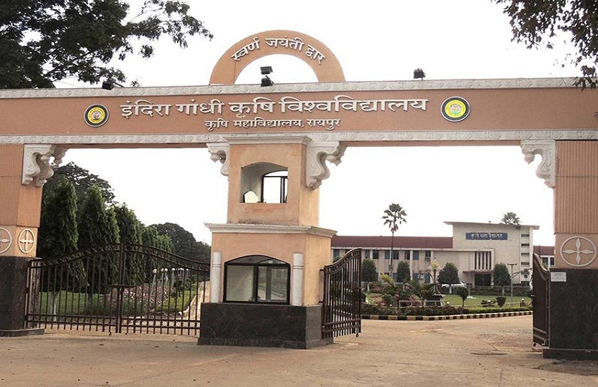 कृषि विश्वविद्यालय के इन कोर्स में एडमिशन शुरू, ऐसे भरना होगा फॉर्म, आज ही निपटा लें ये काम..