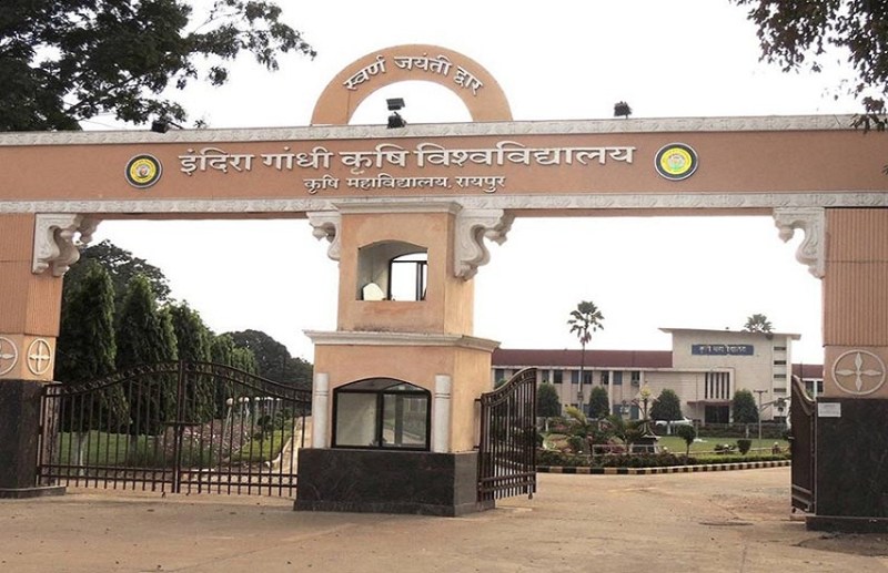 कृषि विश्वविद्यालय के इन कोर्स में एडमिशन शुरू, ऐसे भरना होगा फॉर्म, आज ही निपटा लें ये काम..