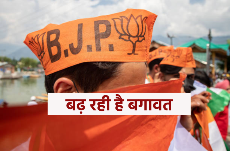 bjp1.png