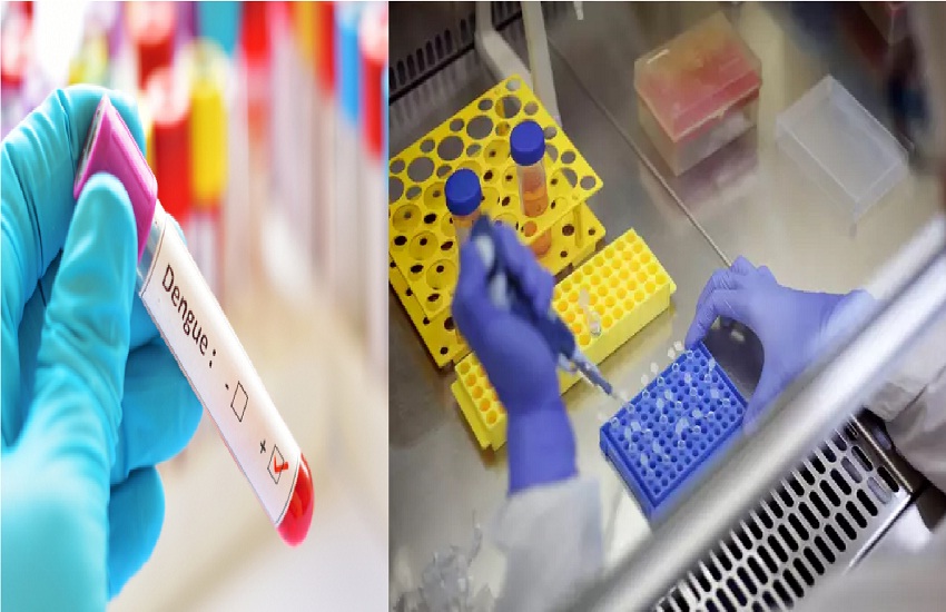 Health Alert : डेंगू के आतंक के बीच नई टेंशन, एलाइजा टेस्ट के रेट बढ़े, 4500 रुपए तक पहुंची कीमत ok sir