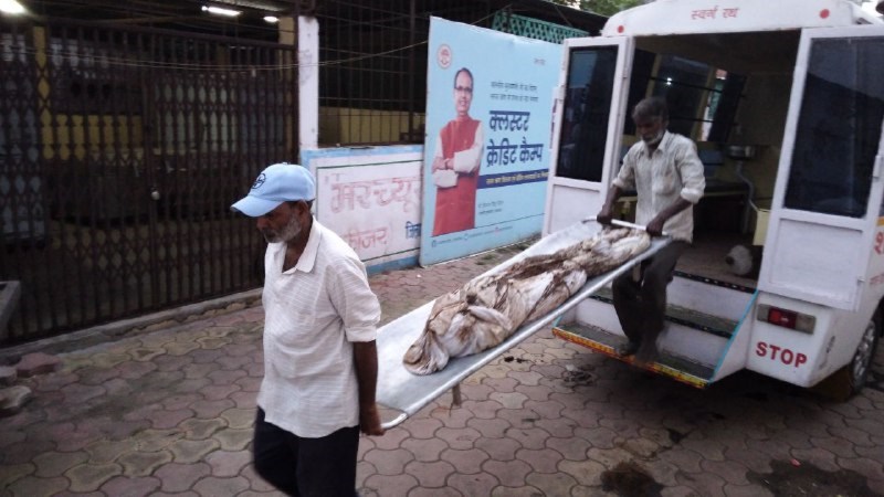 सना खान हत्याकांड : डीएनए टेस्ट का सैंपल लेने फिर से कब्र खोदकर निकाला युवती का शव