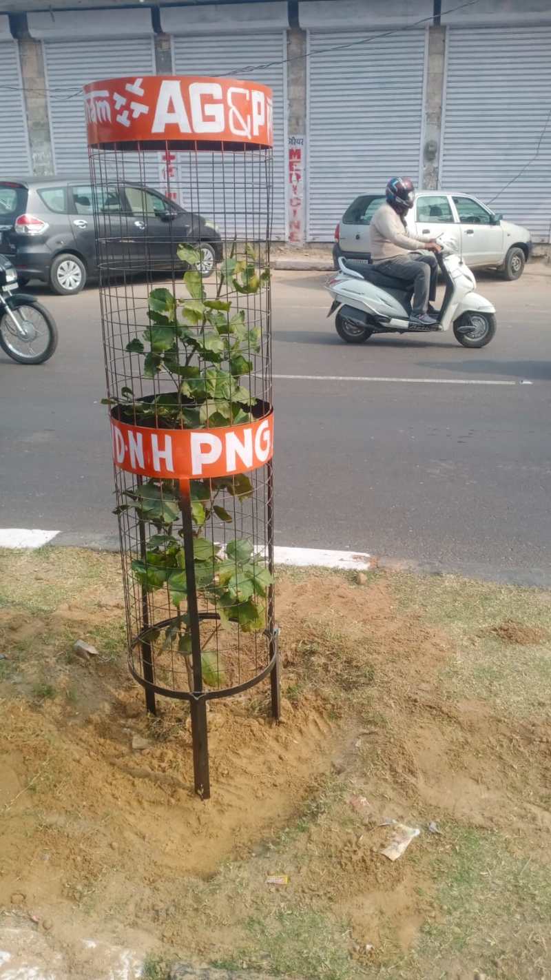 प्रदूषण से बचाव के लिए लगवाए 5,000 पौधे