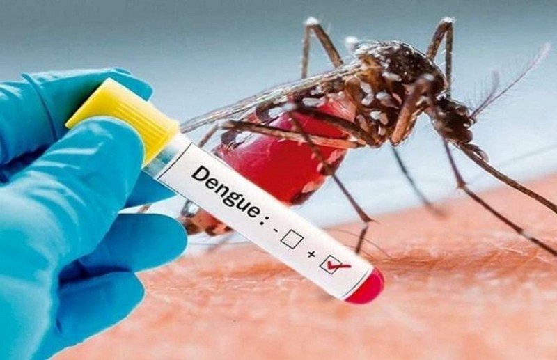 2 patients infected with dengue died in Raipur.