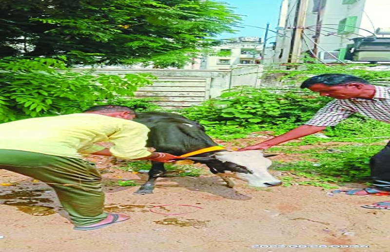 Mayor Ejaz Dhebar asked for 25 acres of land for Gothan