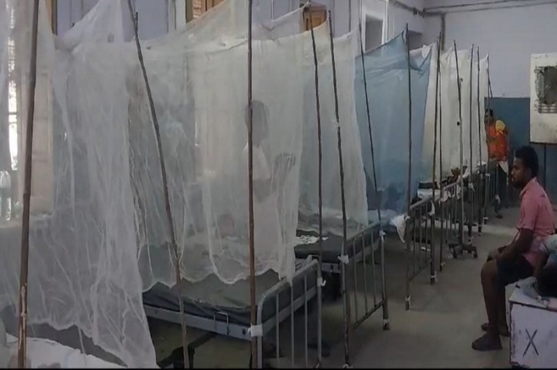 कोटा में डेंगू का डर: मच्छरदानी के कवच में रोगी, अस्पताल खचाखच