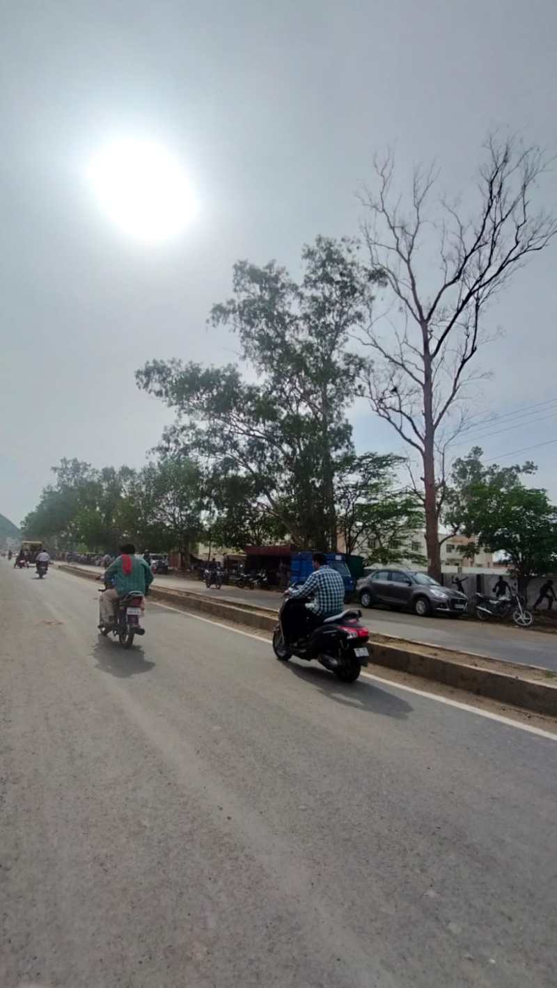 सूरज की चमक करा रही मार्च-अप्रैल का अहसास