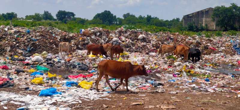 त्यौहार के दिन भी वार्डो में कचरे के ढेर, घरों तक नहीं पहुंचे कचरा वाहन