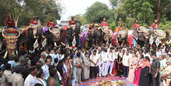 dasara_elephants_02_1.jpg