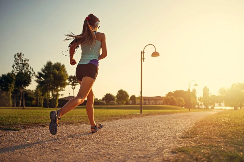 5 exercises daily at home for flat tummy 