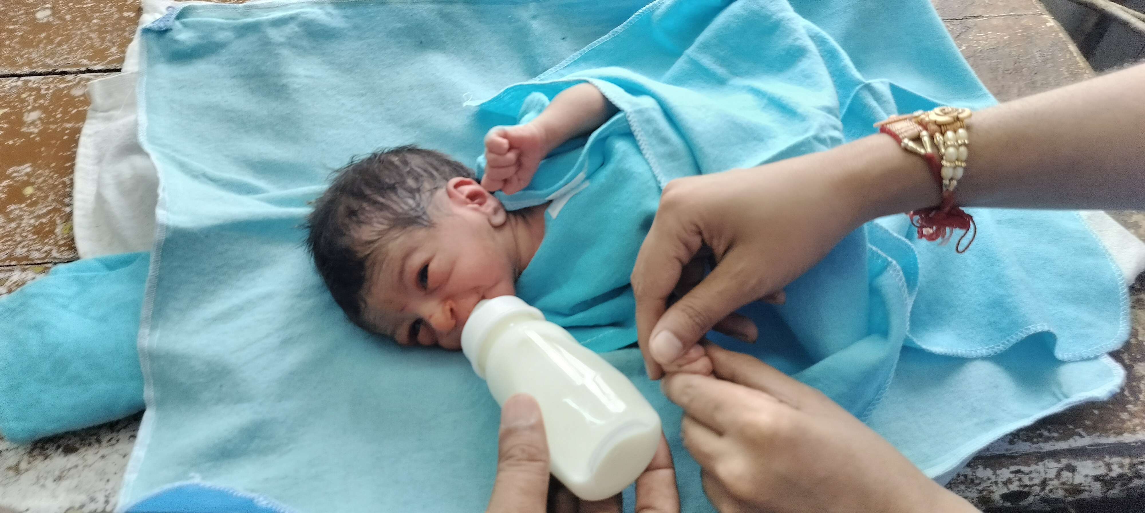 झाडि़यों में सात दिन के नवजात को खा रही थीं कीट-चीटियां