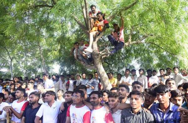 कब्बड़ी का जुनून...दर्शन पेड़ों पर चढऩे को मजबूर