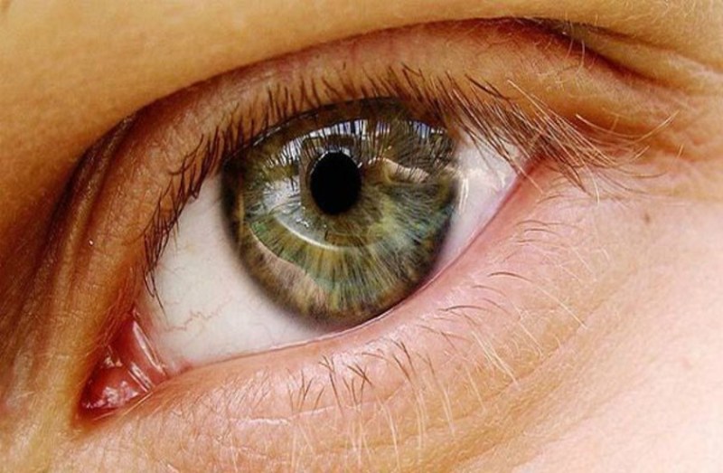 Lucknow Student Develops App To Detect Cataract