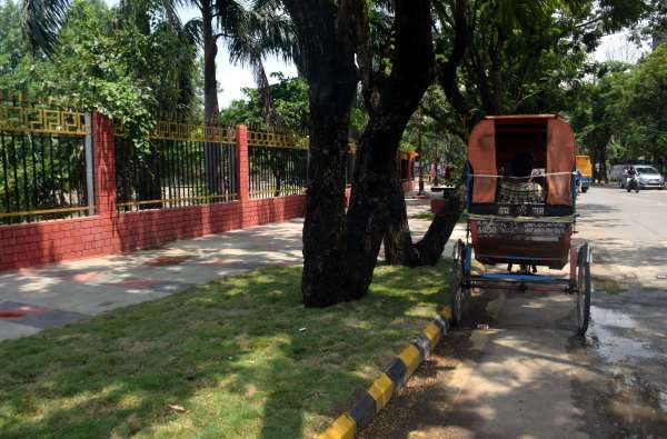 बै मौसम गर्मी से परेशान  