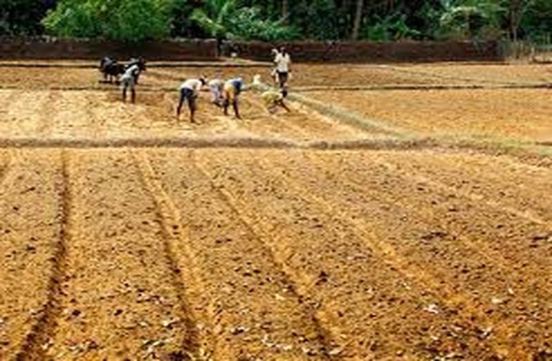 व्यापारी हड़ताल के साथ मंडी में धरना-प्रदर्शन कर आंदोलन भी करेंगे।