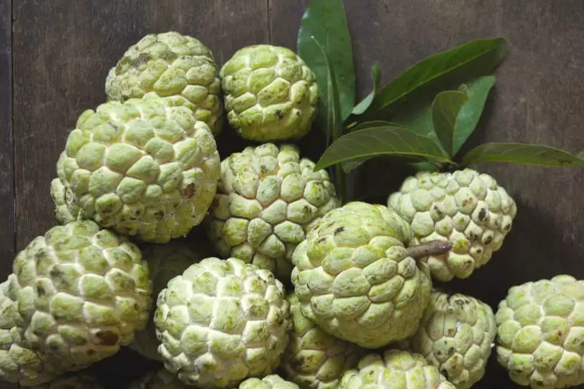 health_benefits_of_custard_apple.jpg