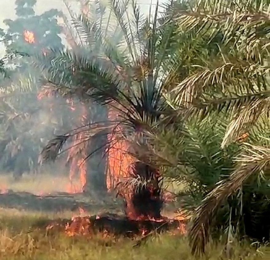 #wildfires : एक हेक्टेयर में आग से होता है 73 हजार रुपए का नुक्सान, सर्वे में
हुआ खुलासा