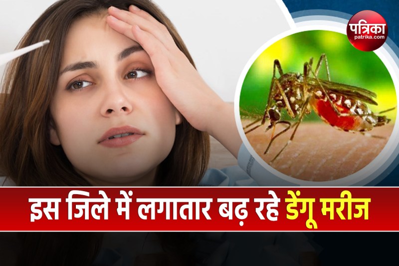 Dengue News: 9 लोगों में डेंगू की पुष्टि के साथ मुरादाबाद में मरीजों की संख्या पहुंची 115 पार