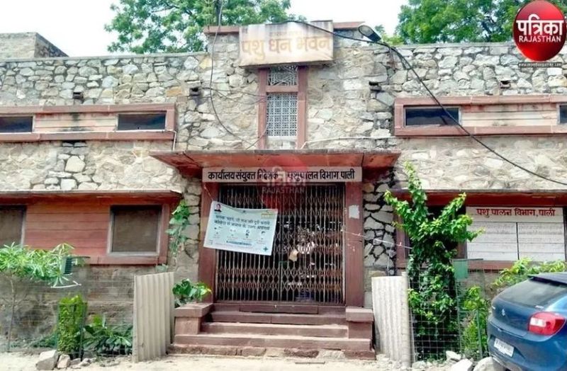 Kamdhenu Insurance Scheme : इस योजना से पशुपालकों को मिलेगा सम्बल, दो लाख से ज्यादा को मिलेगा फायदा