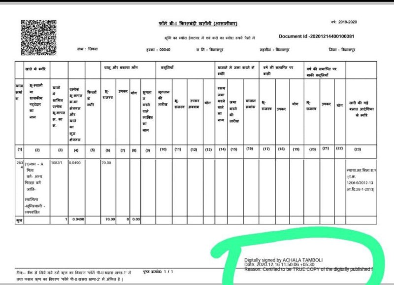 राजस्व रिकार्ड भुंईयां में 3000 से अधिक जमीन मालिकों के नाम गायब, इसकी जगह ए, बी सी, डी से लेकर जेड तक नाम हो गए दर्ज