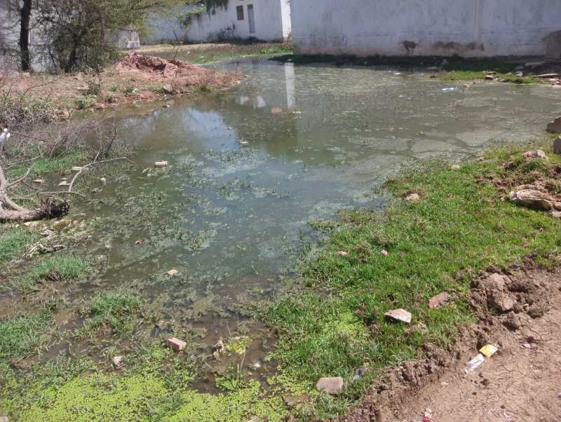 औबेदुल्लागंज विकासखंड बना डेंगू का केंद्र