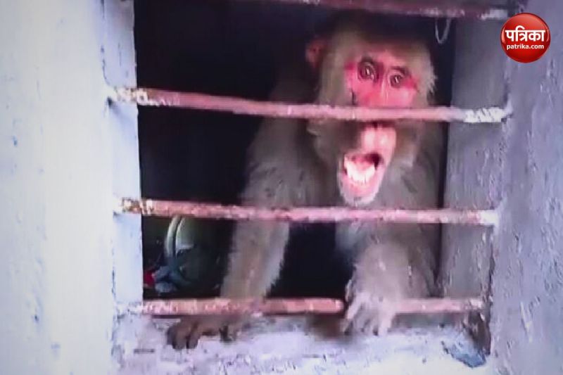 mirzapur kalua bandar