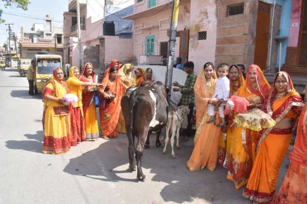  बछबारस का पर्व, गाय-बछड़े का पूजन