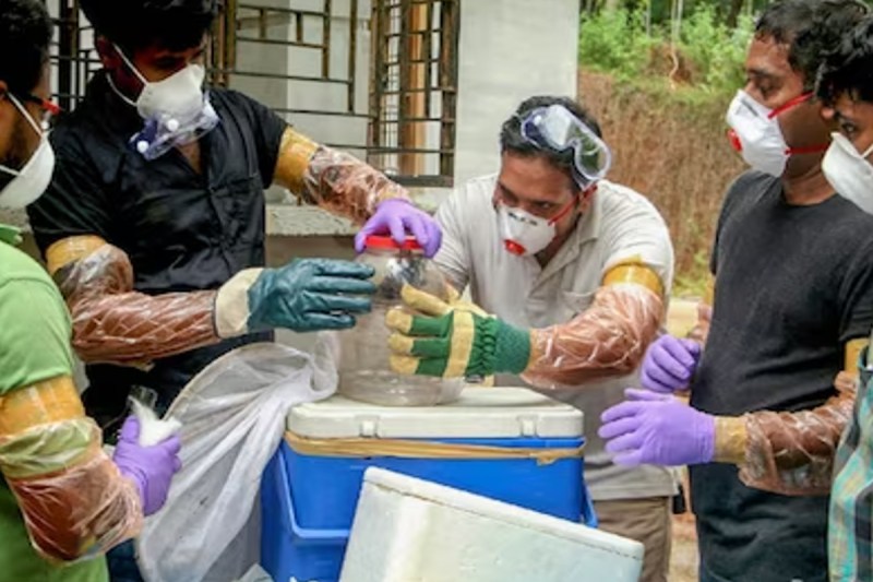 Nipah Virus in Kerala