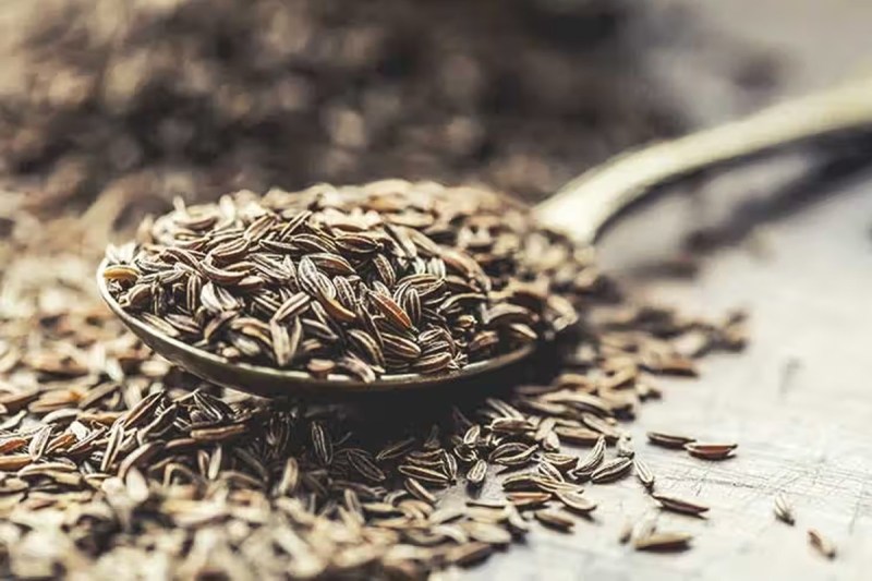 Cumin Seeds Benefits: