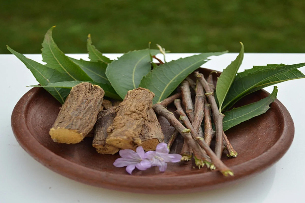 eating neem with mulethi