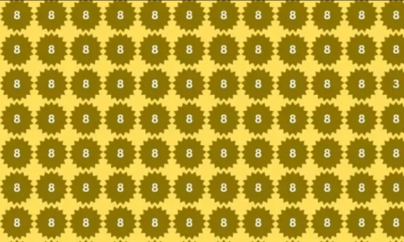 optical_illusion_3_hidden_among_8.jpg