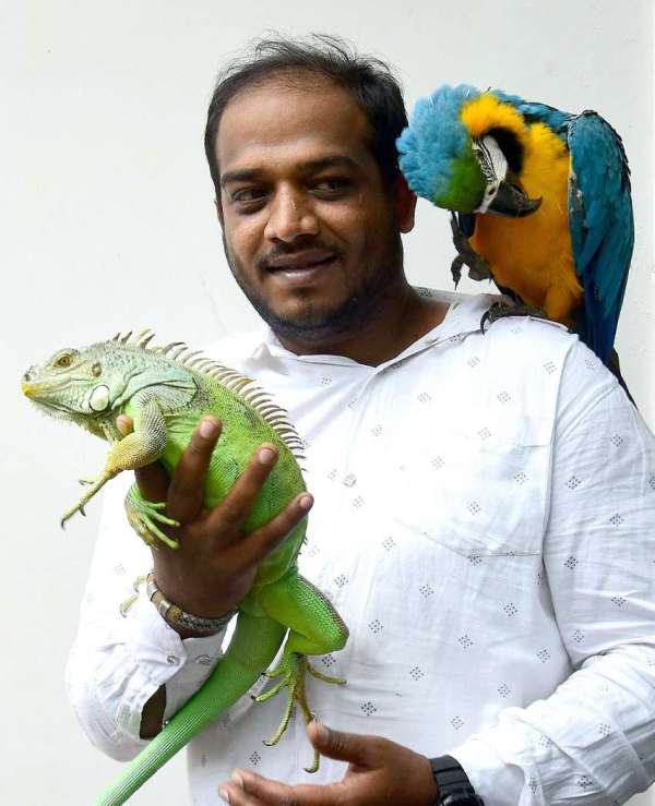 बेंगलुरु में पेट एंड कैट फैशन शो 17 को