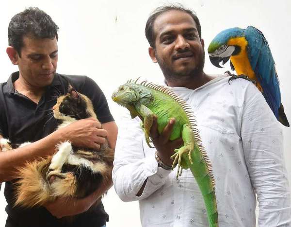 बेंगलुरु में पेट एंड कैट फैशन शो 17 को