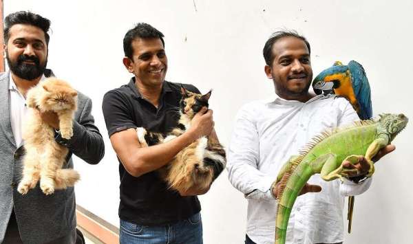 बेंगलुरु में पेट एंड कैट फैशन शो 17 को