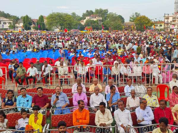  Bull pairs dressed up