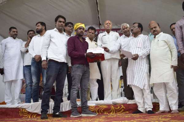  Bull pairs dressed up