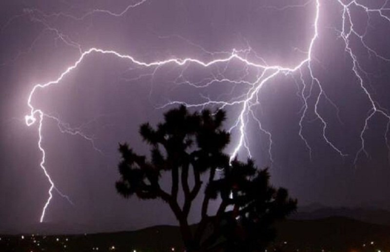 Weather Alert : मानसून ने बरपाया कहर... बिजली गिरने से महिला की मौत, पसरा मातम