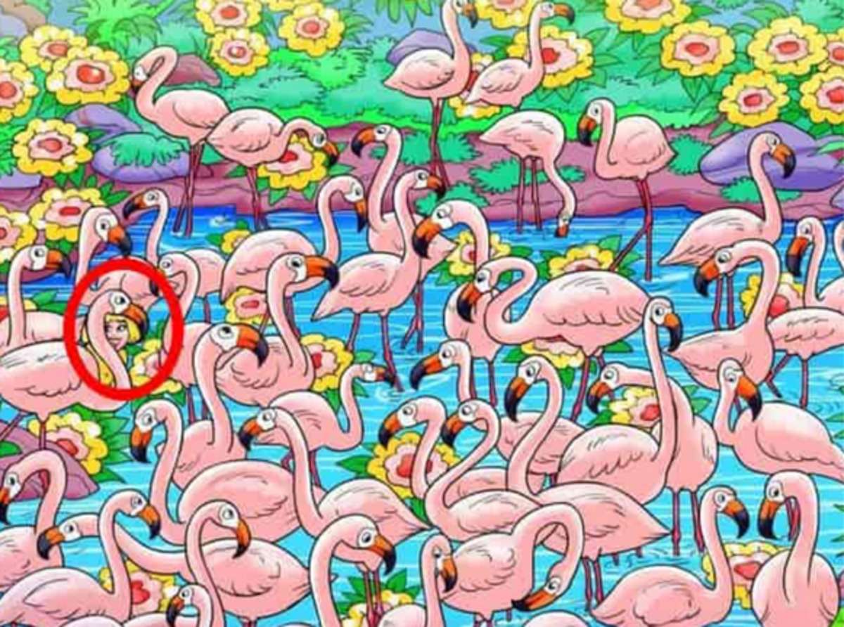 optical_illusion_hidden_girl_among_swans_spotted.jpg