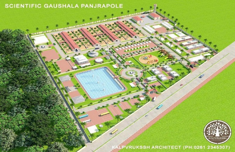 मध्य एशिया का दूसरा सबसे बड़ा पशु अस्पताल, छत्तीसगढ़ में होगा यहां ब्लड टेस्ट, एक्स-रे, सोनोग्राफी