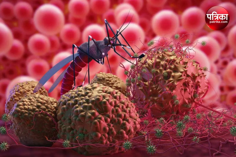 Dengue in UP Student dies of dengue in Moradabad